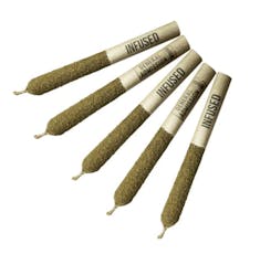 Tiger Blood Infused Pre-Rolls - General Admission - Tiger Blood Pre-Rolls - 5x0.5g