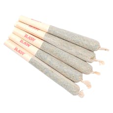Sixty Seven Sins - Gary Satan Pre-Roll - 7x0.5g