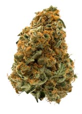 Sage n' Sour Flower by MTL Cannabis - Sage n' Sour - 3.5g