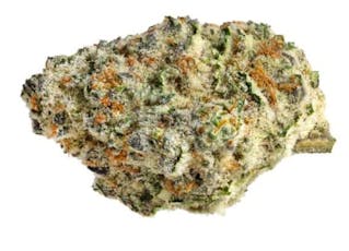 Strawberry Amnesia by The Original Fraser Valley Weed Co. - Strawberry Amensia - 28g