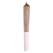 STATION HOUSE Jack Herer Pre-Roll - 1x0.5G