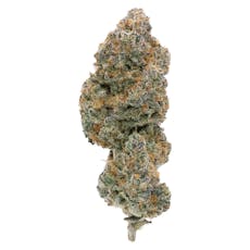 Northern Canna | Modified Supersonic - Northern Canna | Modified Supersonic| 7g