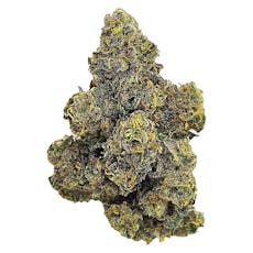 Purple Octane (4.3% TERPS) 7g