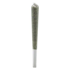 Simply Bare - Infused Pre-Rolls - BC ORGANIC FIRE OG ROSIN PRE-ROLLS - 0.5g