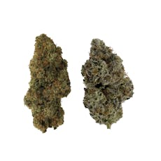 514 Cannabis - HOMA Dual Pack 7g Dried Flower - HOMA Dual Pack 7g Dried Flower