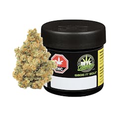 MTL Sage 'n Sour - Sage N' Sour 3.5g