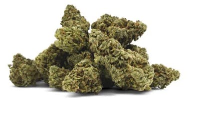 Tiger Melon by BC Oz - Tiger Melon - 28g