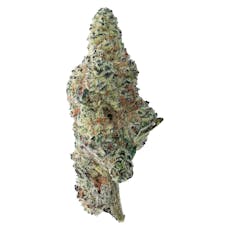 The Loud Plug | Tropicana Cookies - The Loud Plug | Tropicana Cookies | 7g