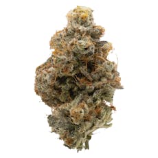 NORTHERN CANNA Atomic Marker 7g