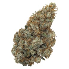 Natural History (Orange Squeeze) - Limited Reserve Sativa 7g Dried Flower