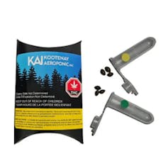 Strawberry Lemonade/ Double God Bod Seeds - Strawberry Lemonade/ Double God Bod Seeds