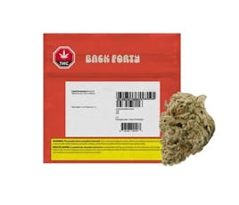 Liquid Imagination - Liquid Imagination 7G