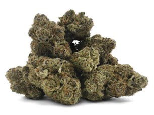 Midnight Treat by BC 1/2 Oz - Midnight Treat - 14g