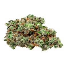 BOLD - Root Beer Float- Indica - 7g