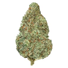 Back Forty - Chemzilla - Chemzilla 14g Dried Flower