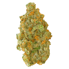 Contraband - Golden Tangie - Golden Tangie 7g Dried Flower