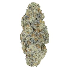 Pistol and Paris - Perma Fried - 3.5g