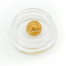 Herbal Dispatch - Orange Crush Live Hash Rosin - 1g
