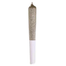 Northern Lights Pre-Roll - Station House - Northern Lights Pre-Roll - 1x0.5g