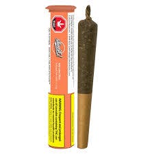 Sheeesh! - Infused Pre-Rolls - KEY LIME SLICE INFUSED PRE-ROLLS - 1g
