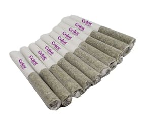 Mango Haze Pre-Rolls - Color Cannabis - Mango Haze Pre-Rolls - 10x0.35g