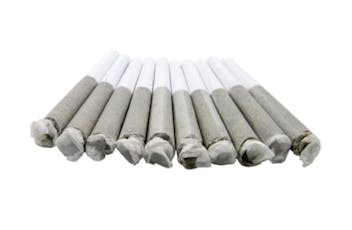 Gas Pedal Pre-Rolls - Green Mountain Health Alliance - Gas Pedal Pre-Rolls - 10x0.5g