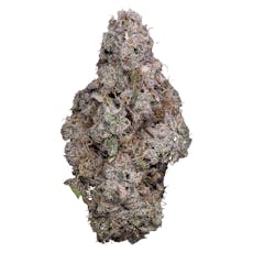 Tribal - Porto Leche - Hybrid -3.5g