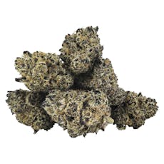 DEALR Rainbow Fuego - 7G