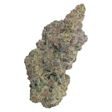 Natural History - Limited Reserve Indica 7g Dried Flower - Limited Reserve Indica 7g Dried Flower