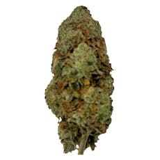 PUFFER'S PARADISE - Magik Dragon 7g Dried Flower