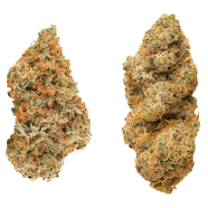 REDECAN Taster Series Variety Pack 28g