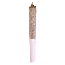 Station House | Amnesia Haze Pre-Roll 1x0.5g