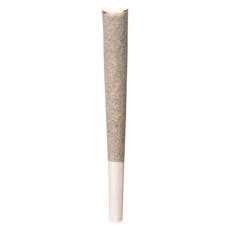 BLKMKT - Rainbow P Pre-Roll - 10x0.5g