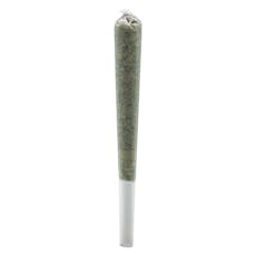 Rosin Roll Infused Pre-Roll 1x1g
