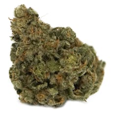 The Loud Plug - Exotic Gas - 3.5g