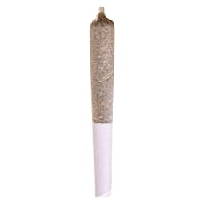 Potluck - Apple Fritter Pre-Roll - 1x0.5g
