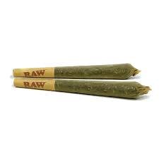 Pistol and Paris - Gas Cake Jungle Boys Cut Pre-roll - 3x0.5g