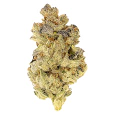 5 Points Cannabis - Mosa Orange Punch - 3.5g