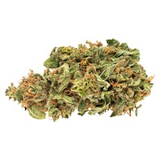 Good Supply - Flower - Sativa - Jean Guy 3.5g