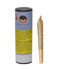 Good Buds - Timewarp Pre-Rolls - TIMEWARP PRE-ROLL - (1 x 1g)