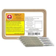 1Spliff Reserved - PineappleX Premium Glass Tip Pre-Rolls - 5x0.6g Sativa PRs