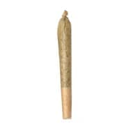 COOKIE GOD PRE-ROLL - COOKIE GOD PRE-ROLL - 1