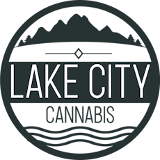 JUST Seltzers Lite Blackberry Lime THC + CBG - JUST Seltzers Lite Blackberry Lime Seltzer 2.5 THC + 5 CBG 355 ml Sparkling Beverage