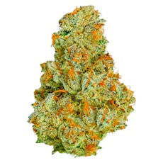 Coterie - Electric Daisy - Electric Daisy 7g Dried Flower