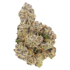 Buzz'd - Honeycomb Haze - Honeycomb Haze 7g Dried Flower