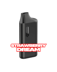 Strawberry Dream all-in-one (1g) - Elevator