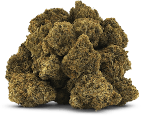 Pine Tree OG by BC Oz - Pine Tree OG - 28g