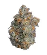 Critical Condition by Purefire - Critical Condition - 14g