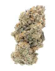 Peachy Dream - Jolly Boys - Peachy Dream - 7g