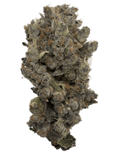 Sudz by Rocky Mountain House - Sudz - 7g